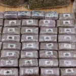 ΕΛΓΑ: Δύο νέα μέτρα στήριξης για τους αγρότες