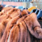 Αποτελέσματα εκλογών στην Δ. Μακεδονία – Αναλυτικοί πίνακες