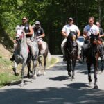 Προτεραιότητα η  ισχυρή ανάπτυξη και ανταγωνιστικότητα των ελληνικών ΑΕΙ