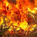 ΔΥΠΑ: Αναρτήθηκαν οι προσωρινοί πίνακες για τα voucher βιβλίων – Οι δικαιούχοι