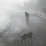 Δ. Μακεδονία: Επιλέχθηκαν 221 αιτήσεις για το Πρόγραμμα Αγροτικής Ανάπτυξης