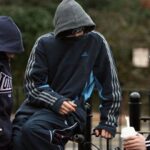 Επτά νέες ψηφιακές υπηρεσίες προστέθηκαν στο Εθνικό Μητρώο Ζώων Συντροφιάς