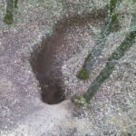 Συμμετοχή της Περιφέρειας Δυτικής Μακεδονίας στην Έκθεση “BEYOND 2025”