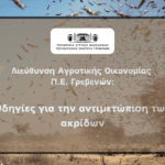 Δήμος Γρεβενών: Λαμπρός ο εορτασμός του Πολιούχου της πόλης Αγίου Αχιλλίου