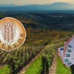 Η μεγάλη παρανόηση της επιχειρηματικότητας (Άρθρο του Δρ Νέστορα Κολοβού)