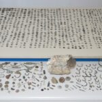 Πρόσκληση σε ενημερωτική εκδήλωση στα πλαίσια εκπόνησης μελέτης με τίτλο «ΤΟΠΙΚΟ ΠΟΛΕΟΔΟΜΙΚΟ ΣΧΕΔΙΟ ΔΗΜΟΥ ΓΡΕΒΕΝΩΝ ΕΝΟΤΗΤΑ ΙΙ (ΔΕ ΑΒΔΕΛΛΑΣ, ΑΓ. ΚΟΣΜΑ, ΓΟΡΓΙΑΝΗΣ, ΔΟΤΣΙΚΟΥ, ΘΕΟΔΩΡΟΥ ΖΙΑΚΑ, ΜΕΣΟΛΟΥΡΙΟΥ, ΠΕΡΙΒΟΛΙΟΥ, ΣΑΜΑΡΙΝΑΣ, ΣΜΙΞΗΣ, ΦΙΛΙΠΠΑΙΩΝ)»