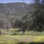 Περιφερειακό σχέδιο ανάπτυξης Δυτικής Μακεδονίας: 350 έργα άνω των 3,7 δισεκατομμυρίων ευρώ