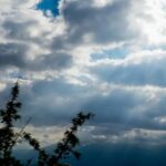 Στο επίκεντρο η παρουσία αρκούδων στη Δυτική Μακεδονία – Συζήτηση στο Περιφερειακό Συμβούλιο για μέτρα πρόληψης και διαχείρισης