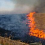 Δημόσια Κεντρική Βιβλιοθήκη Γρεβενών: Στη βιβλιοθήκη όλα είναι … θεϊκά