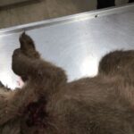 Συνεδρίαση για τη διαβούλευση και επανεξέταση του Περιφερειακού Χωροταξικού Πλαισίου Δυτικής Μακεδονίας