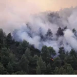 Γρεβενά- Πάρκο Μανιταριών:  Όλα έτοιμα για την 19η Πανελλήνια Γιορτή Μανιταριού