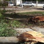 Ευχαριστίες του Δημάρχου Γρεβενών προς τις δυνάμεις που συνέβαλαν στην κατάσβεση των πυρκαγιών