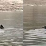 Εξιχνιάσθηκε υπόθεση απάτης που διαπράχθηκε στην πόλη των Γρεβενών