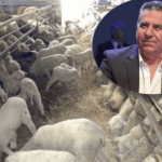 Μηνιαίος απολογισμός της Γενικής Περιφερειακής Αστυνομικής Διεύθυνσης Δυτικής Μακεδονίας  στην Οδική Ασφάλεια