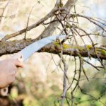 Συνελήφθη άμεσα από αστυνομικούς του Τμήματος Δίωξης και Εξιχνίασης Εγκλημάτων Γρεβενών 67χρονος αλλοδαπός για κλοπή σε περιοχή των Γρεβενών