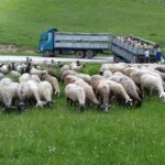 Διάλογος και συνεργασία στο επίκεντρο της συνάντησης των Πρυτανικών Αρχών του Πανεπιστημίου Δυτικής Μακεδονίας και του Αριστοτελείου Πανεπιστημίου Θεσσαλονίκης