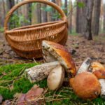 Σε τροχιά ανάπτυξης το Πανεπιστήμιο Δυτικής Μακεδονίας – Στρατηγική συνεργασία με το Υπουργείο Παιδείας