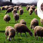 6ο Συνέδριο “Education Across Borders”: Το Πανεπιστήμιο Δυτικής Μακεδονίας στο επίκεντρο του διαλόγου για την εκπαίδευση του μέλλοντος