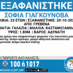 Ο Δήμος Εορδαίας και το Πανεπιστήμιο Δυτικής Μακεδονίας στο International Meeting του έργου COMMIT στην Βουλγαρία με θέμα:  “Πρόσβαση σε χρηματοοικονομικά μέσα”