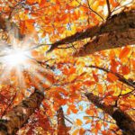 Στήριξη του ποδοσφαίρου στη Δυτική Μακεδονία: Συνάντηση Περιφέρειας με τις ΕΠΣ των τεσσάρων Νομών