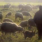 Συνάντηση Δημάρχου Γρεβενών με το Σωματείο Τουριστικών Επαγγελματιών για την ανάδειξη του τουριστικού προϊόντος της περιοχής