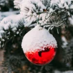 Διακοπή κυκλοφορίας στην Εγνατία Οδό στο ύψος του Α/Κ 10 Ανατολικά Σιάτιστας λόγω αγροτικών κινητοποιήσεων