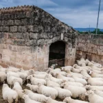 Η φωνή των αγροτών δυναμώνει στη Δυτική Μακεδονία