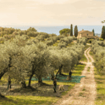 Ενεργειακή Ανακαίνιση Σπιτιού – Αντλίες Θερμότητας, Θερμομόνωση και Έξυπνοι Αυτοματισμοί
