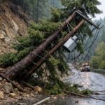 National League 2: Δεν τα κατάφερε ο Πρωτέας Γρεβενών στην Καρδίτσα