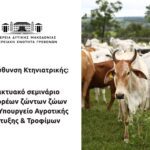 ΑΣΕΠ – Δημοτική αστυνομία: Βγήκαν τα οριστικά αποτελέσματα για τις μόνιμες προσλήψεις