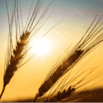 Το Κινητό Εργαστήριο «ΟΔΥΣΣΕΑΣ» του «Χαμόγελου του Παιδιού» στα Γρεβενά