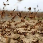 Ολοκληρώθηκε η διημερίδα «Μακροχρόνια Φροντίδα Υγείας: Χτίζοντας Συνεργασίες»