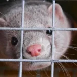 “Τρέχουν” επενδύσεις 200 εκατ. € στη Δυτική Μακεδονία στο υδρογόνο – Η Hydrogène de France, η Hellenic Hydrogen και η Advent