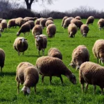 Ραγδαίες πολιτικές εξελίξεις – Παραιτήθηκαν Κεφαλογιάννης, Τσιάρας και Βαρτζόπουλος