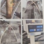 Εξωδικαστικός μηχανισμός: Έρχεται νέα διάταξη -Τι θα αναφέρει και ποιους θα αφορά