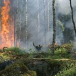 Ενημερωτική Ημερίδα «Από το Λύκειο στην Αγορά Εργασίας» για μαθητές και μαθήτριες ΓΕ.Λ. και ΕΠΑ.Λ. της Π.Δ.Ε. Δυτικής Μακεδονίας