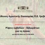 Πανελλήνιες 2026: Ποιοι υποψήφιοι μπορούν να πάρουν 1.000 ευρώ
