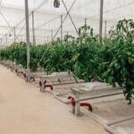 Τι αλλάζει στη Δυτική Μακεδονία με την έλευση του φυσικού αερίου