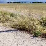 Συνάντηση εκπροσώπων του ΔΣ  του πανελληνίου δικτύου κέντρων πρόληψης (ΔΙΚΕΠΡΕ),με τον Περιφερειάρχη Δυτικής Μακεδονίας