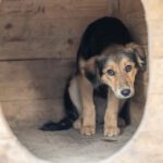 Στον Αντιπεριφερειάρχη Γρεβενών η πρώτη εθιμοτυπική επίσκεψη της Εθνικής Κ16