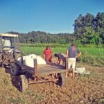 Υπογραφή συμβάσεων για σημαντικά έργα στην Περιφερειακή Ενότητα Γρεβενών