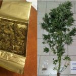 Ανακοινώθηκαν τα αποτελέσματα των Νέων Αγροτών στη Δυτική Μακεδονία – 20 ημέρες για ενστάσεις