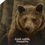 Ξεκίνησε η ασφαλτόστρωση του δρόμου προς το Αστρονομικό Πάρκο Όρλιακα